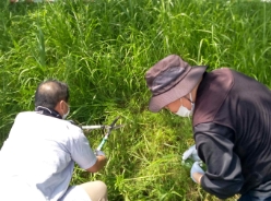 公民館での奉仕作業