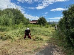 除草作業（就労体験）